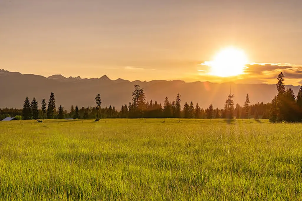 2705 Rumble Creek Road Condon MT 59826