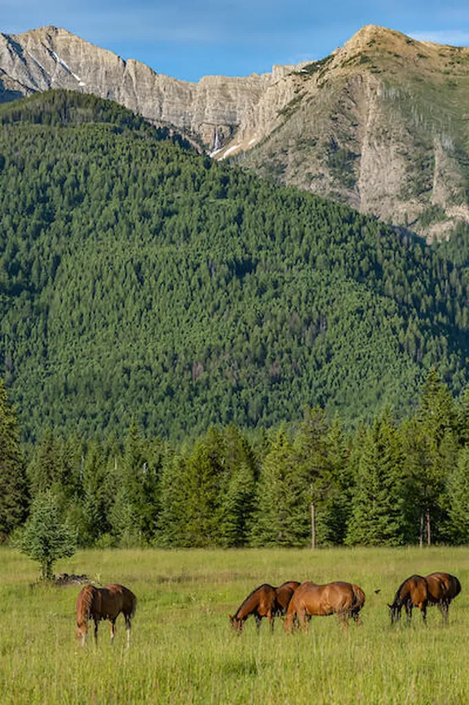 2705 Rumble Creek Road Condon MT 59826