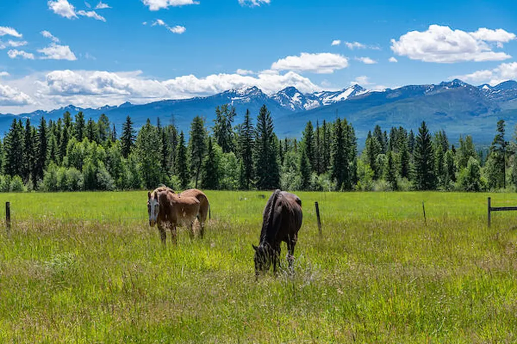 2705 Rumble Creek Road Condon MT 59826