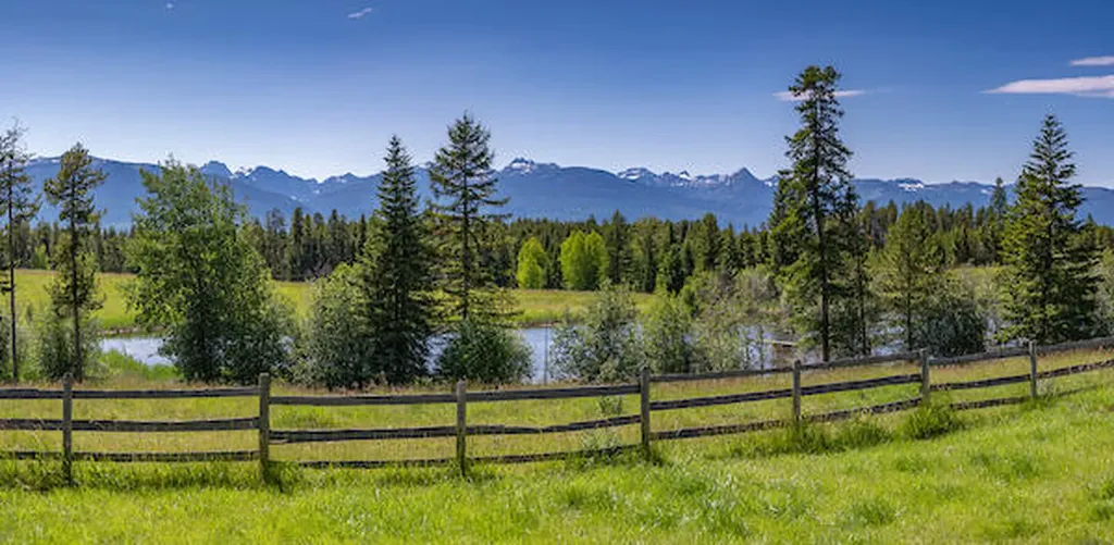 2705 Rumble Creek Road Condon MT 59826
