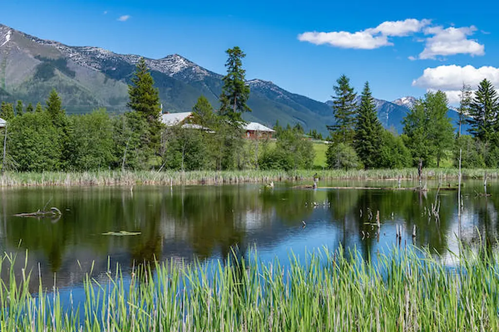 2705 Rumble Creek Road Condon MT 59826