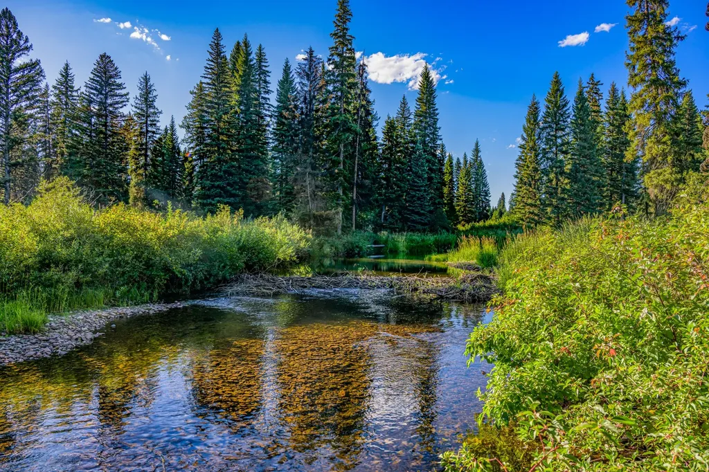 Nhn Route 83 Seeley Lake MT 59868
