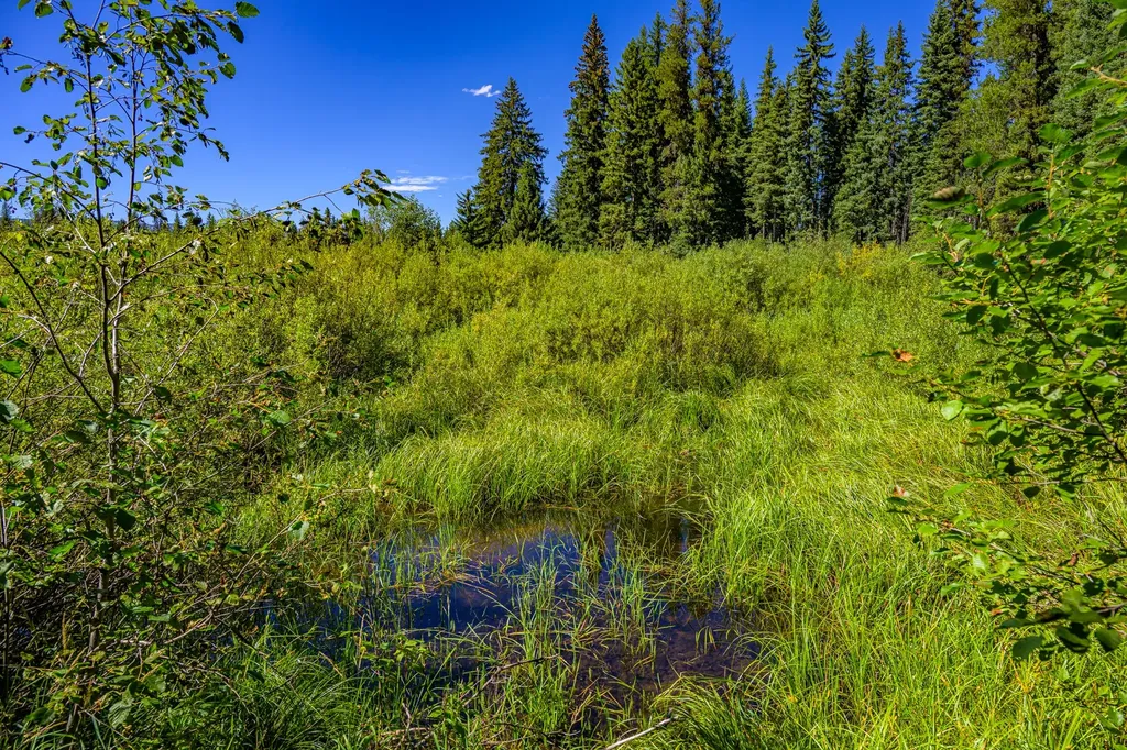 Nhn Route 83 Seeley Lake MT 59868