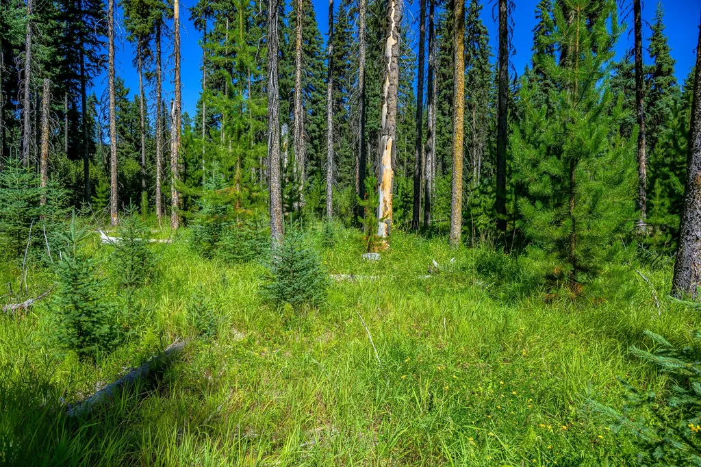 Nhn Route 83 Seeley Lake MT 59868
