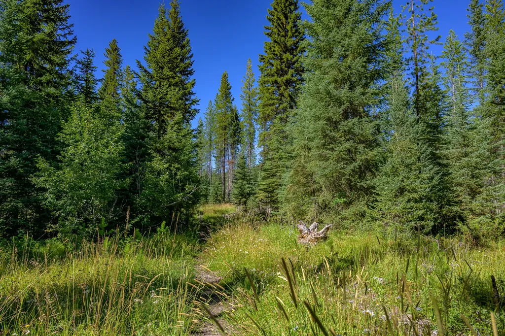 Nhn Route 83 Seeley Lake MT 59868