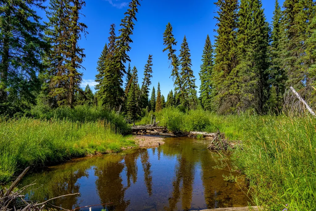 Nhn Route 83 Seeley Lake MT 59868