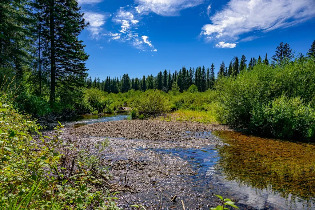 Nhn Route 83 Seeley Lake MT 59868