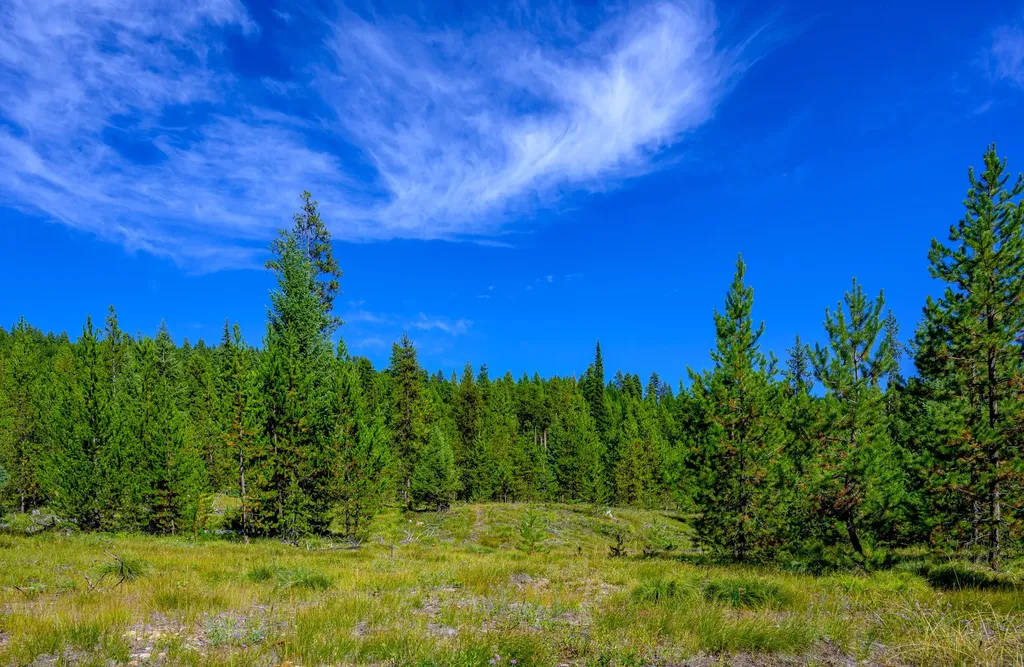 Nhn Route 83 Seeley Lake MT 59868