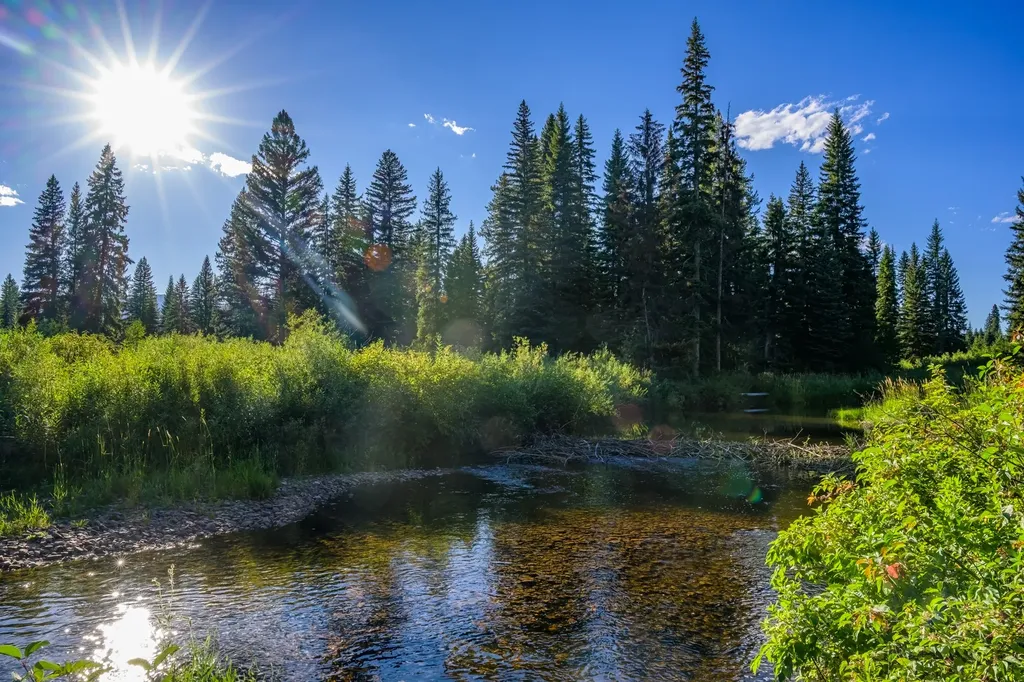 Nhn Route 83 Seeley Lake MT 59868