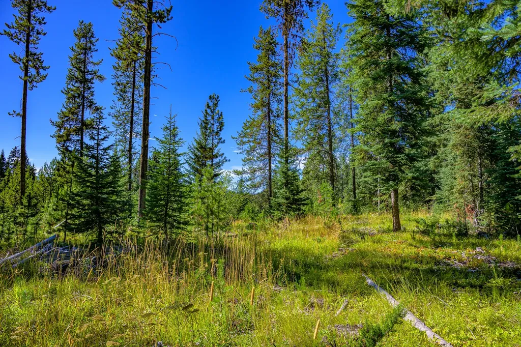 Nhn Route 83 Seeley Lake MT 59868