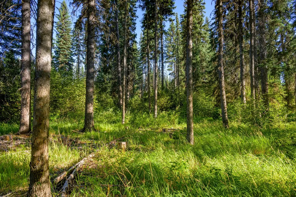 Nhn Route 83 Seeley Lake MT 59868