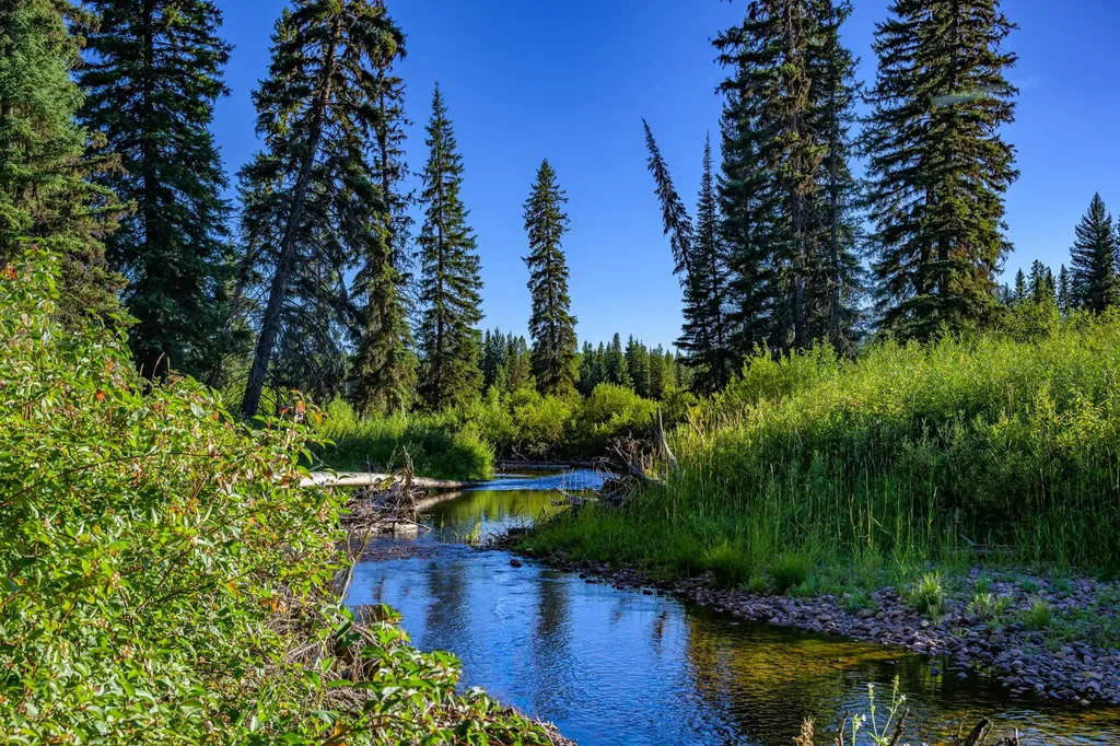 Nhn Route 83 Seeley Lake MT 59868