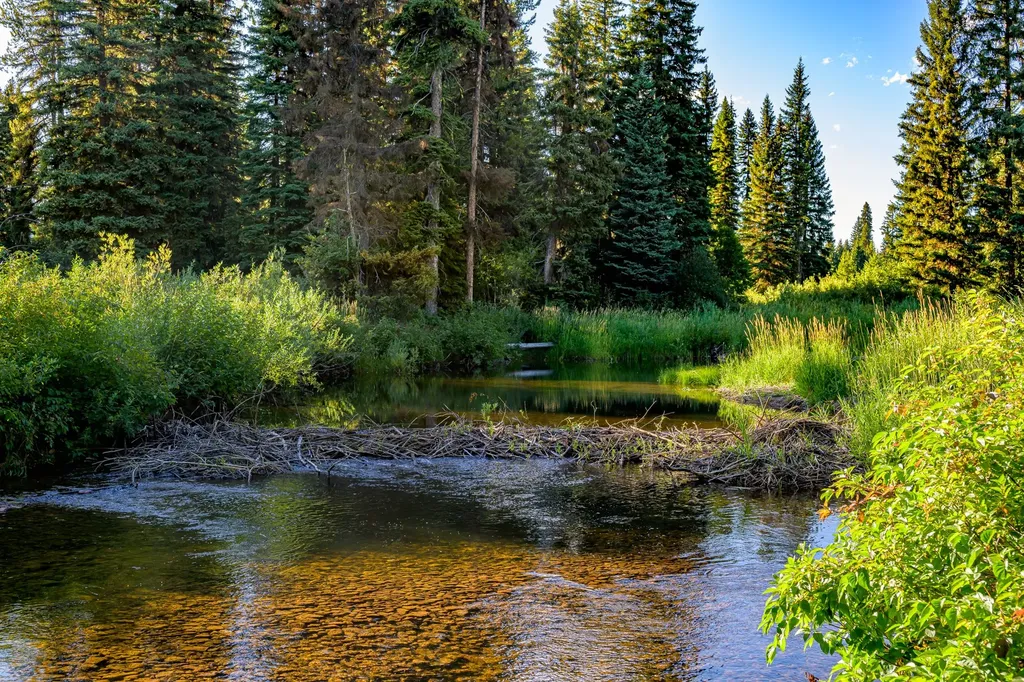 Nhn Route 83 Seeley Lake MT 59868