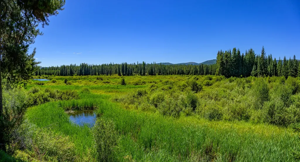 Nhn Route 83 Seeley Lake MT 59868