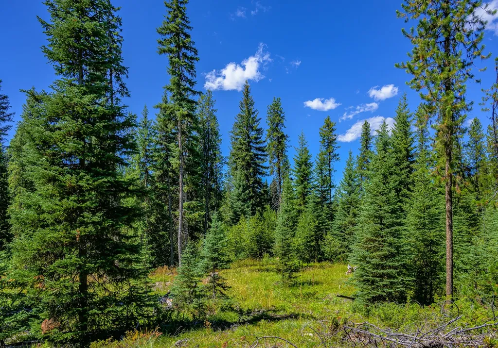 Nhn Route 83 Seeley Lake MT 59868