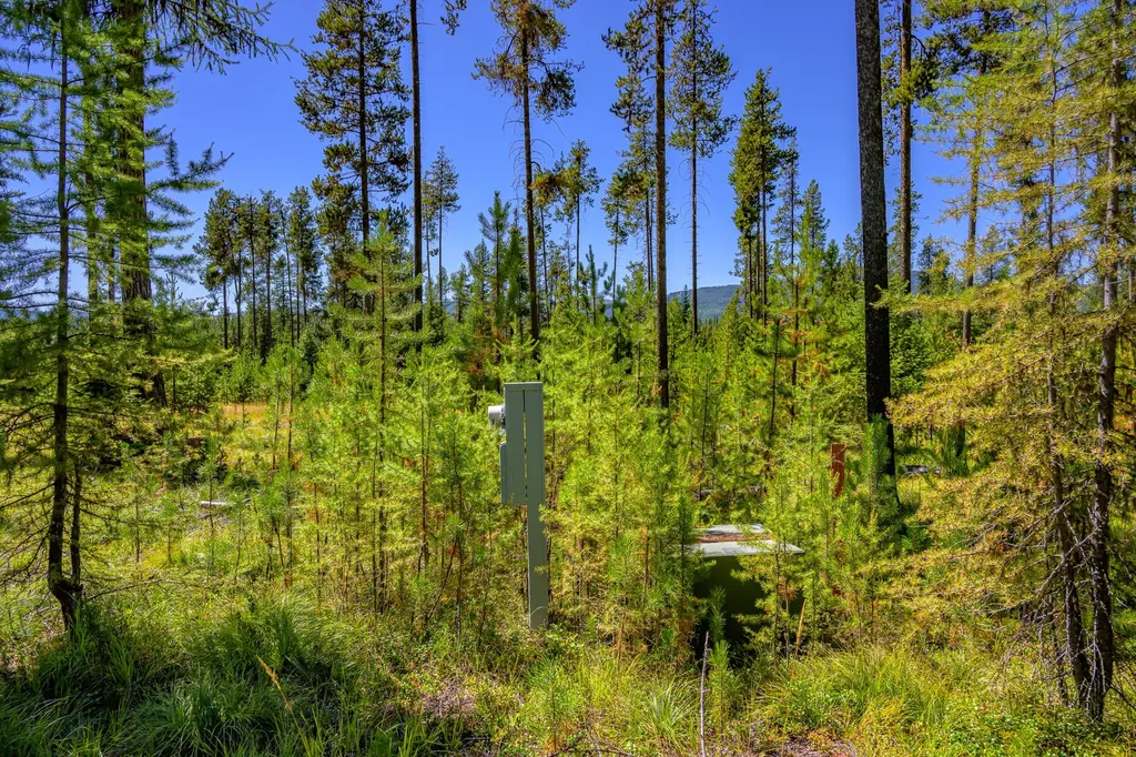 Nhn Route 83 Seeley Lake MT 59868