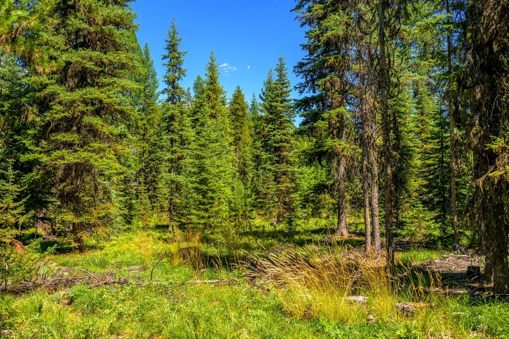 Nhn Route 83 Seeley Lake MT 59868
