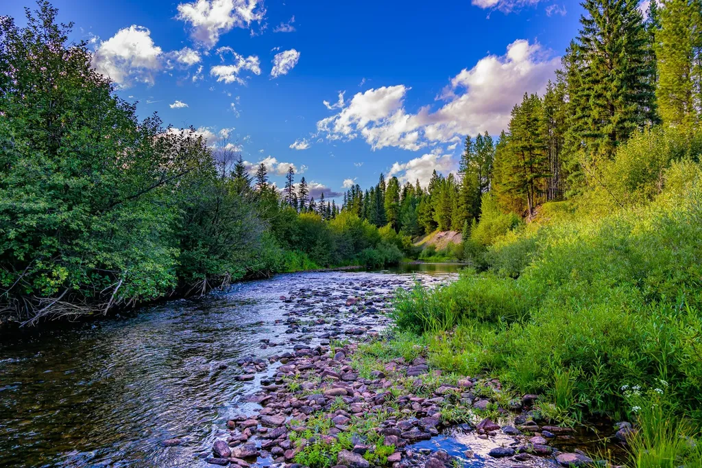002 Route 83 Seeley Lake MT 59868