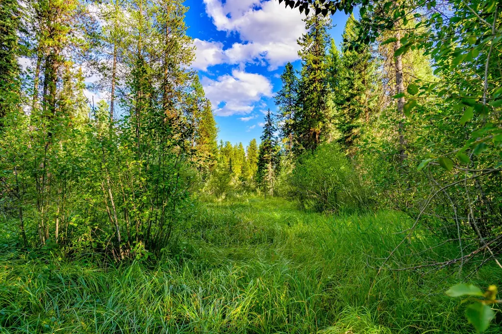 002 Route 83 Seeley Lake MT 59868