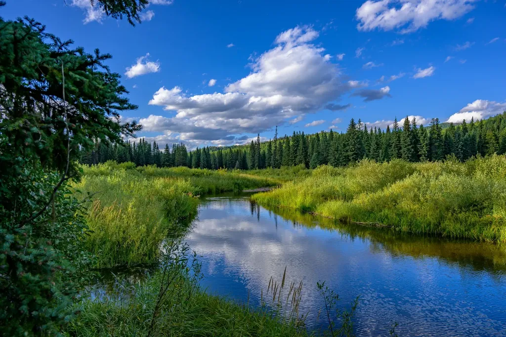 002 Route 83 Seeley Lake MT 59868