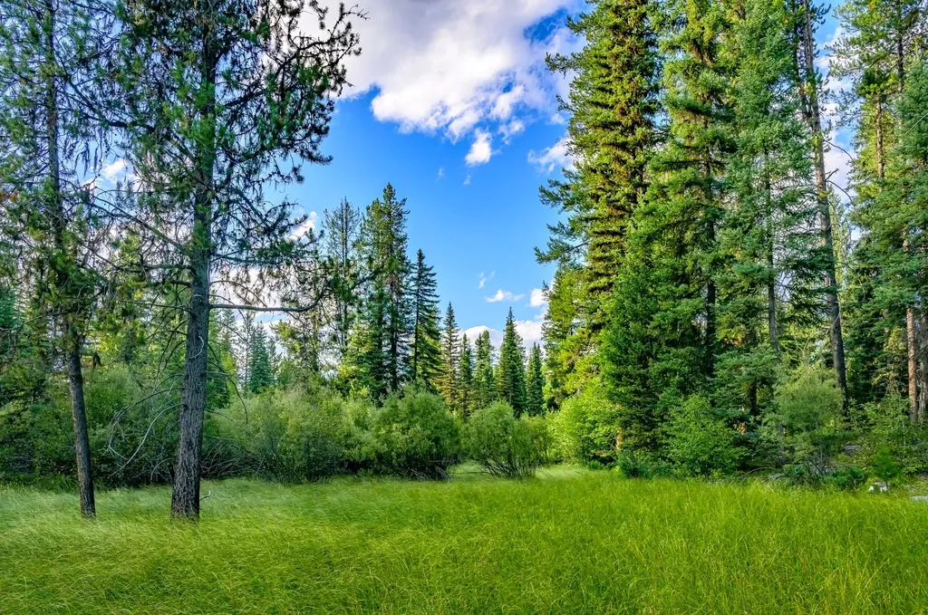 002 Route 83 Seeley Lake MT 59868