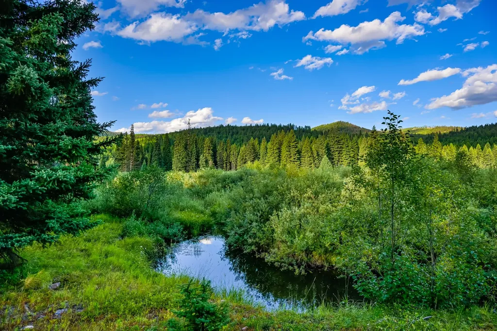 002 Route 83 Seeley Lake MT 59868