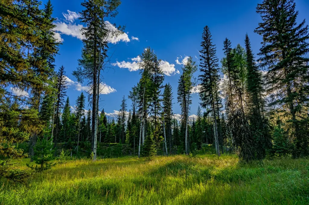 002 Route 83 Seeley Lake MT 59868