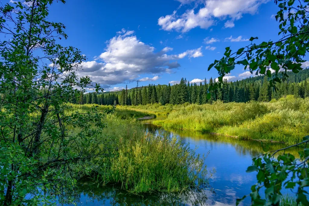 002 Route 83 Seeley Lake MT 59868