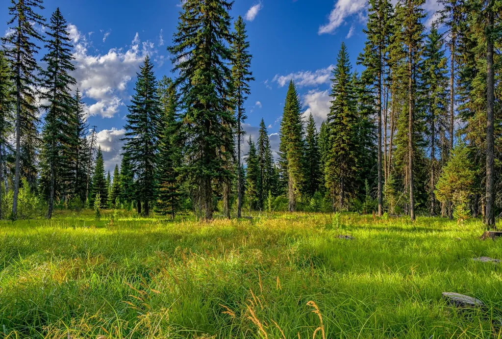 002 Route 83 Seeley Lake MT 59868