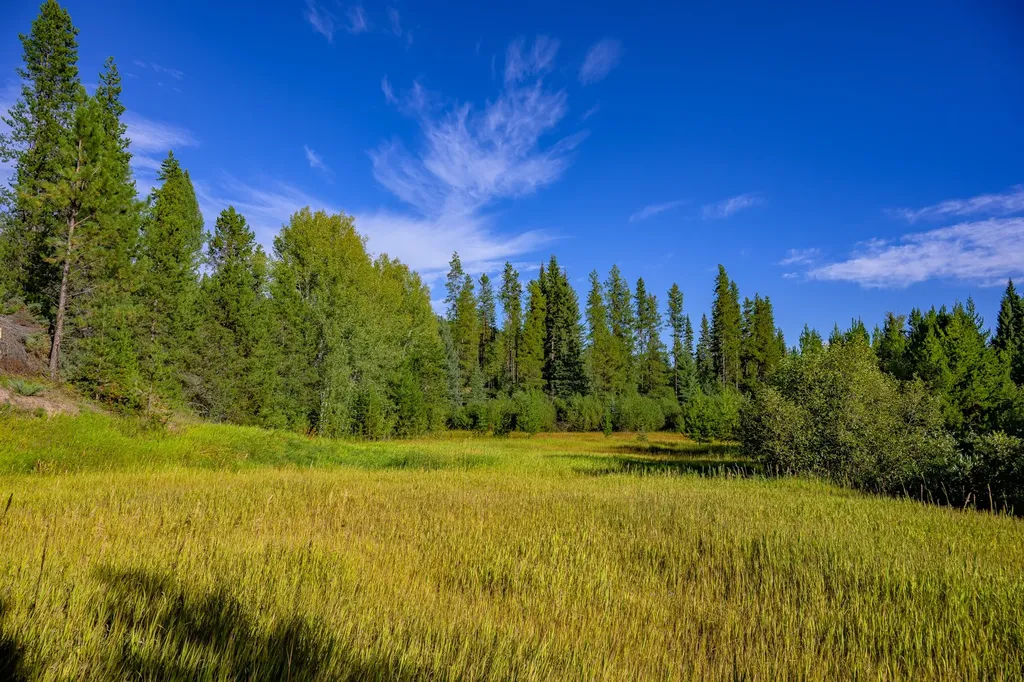 002 Route 83 Seeley Lake MT 59868