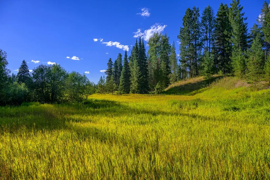 002 Route 83 Seeley Lake MT 59868