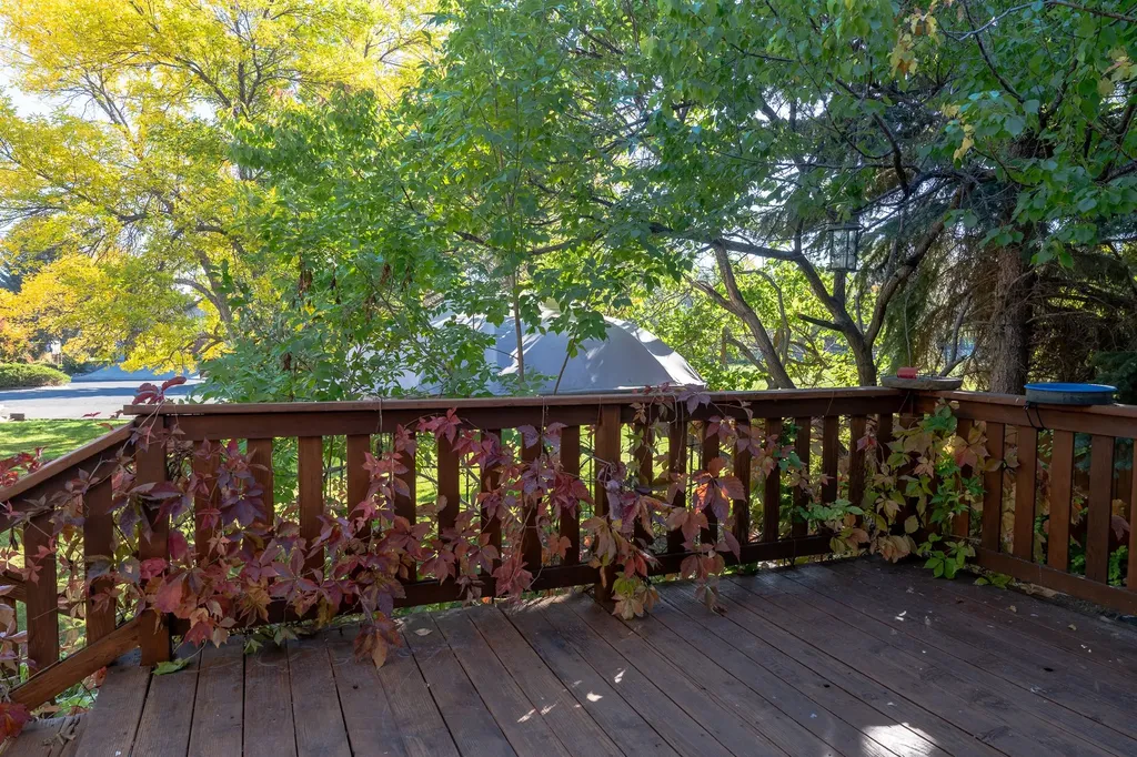 59 Cloverview Drive Helena MT 59601