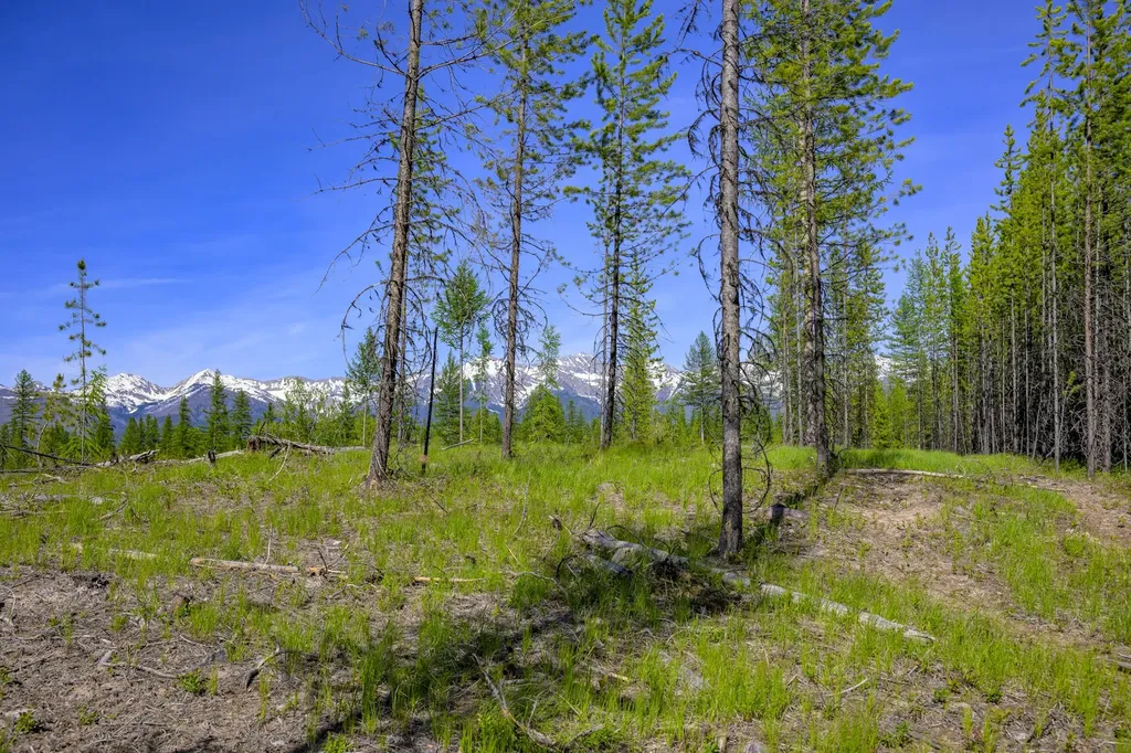 Nhn Stoner Lake Road Condon MT 59826