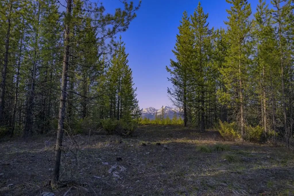 Nhn Stoner Lake Road Condon MT 59826