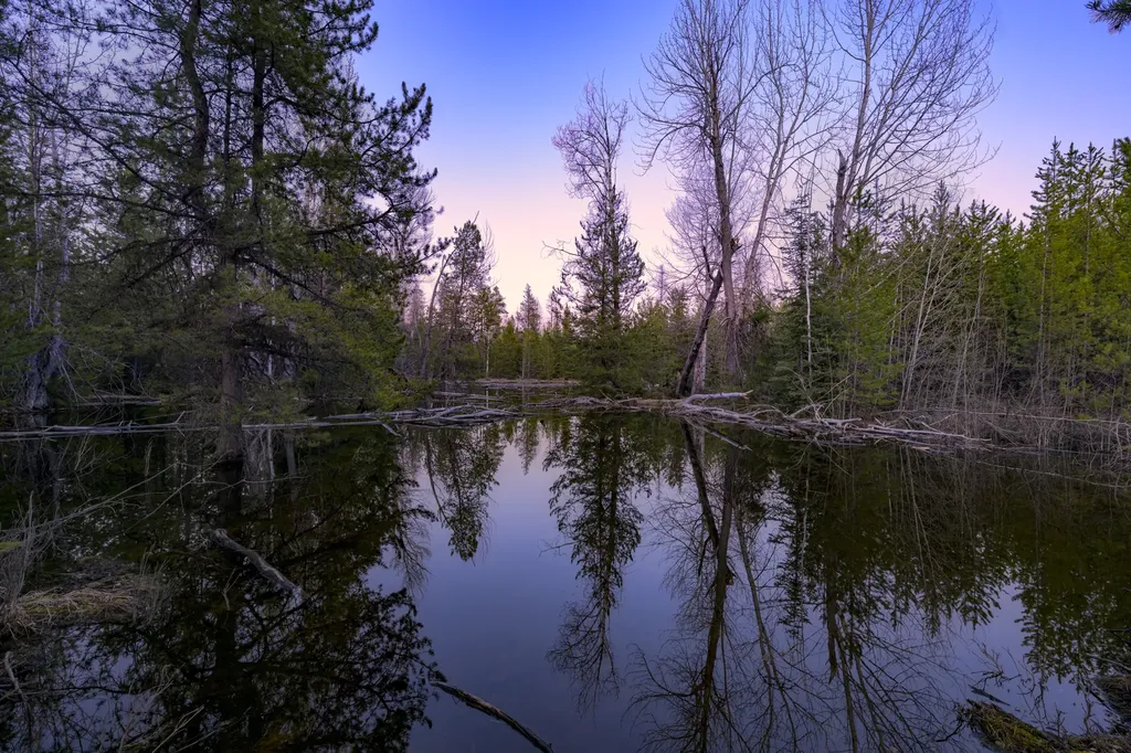 Nhn Stoner Lake Road Condon MT 59826