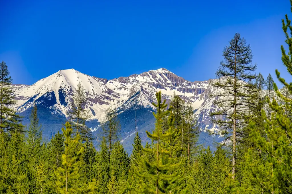 Nhn Stoner Lake Road Condon MT 59826