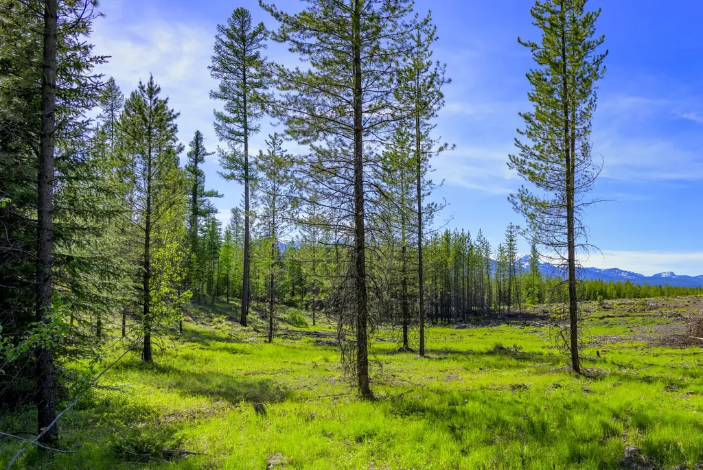 Nhn Stoner Lake Road Condon MT 59826