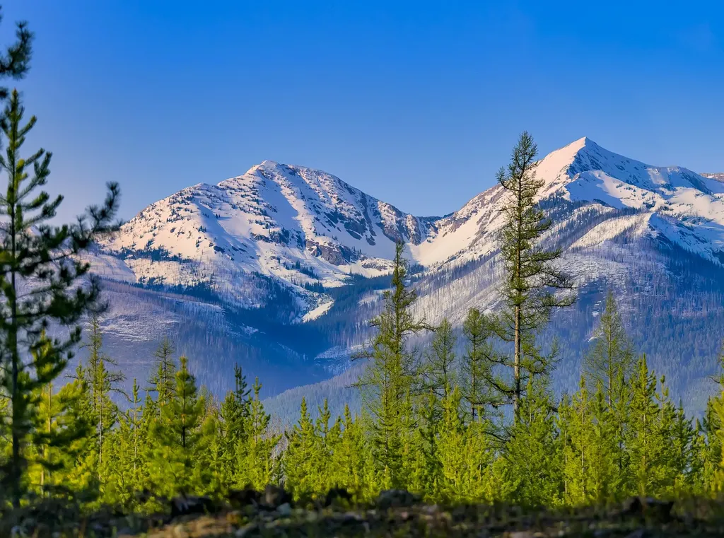 Nhn Stoner Lake Road Condon MT 59826
