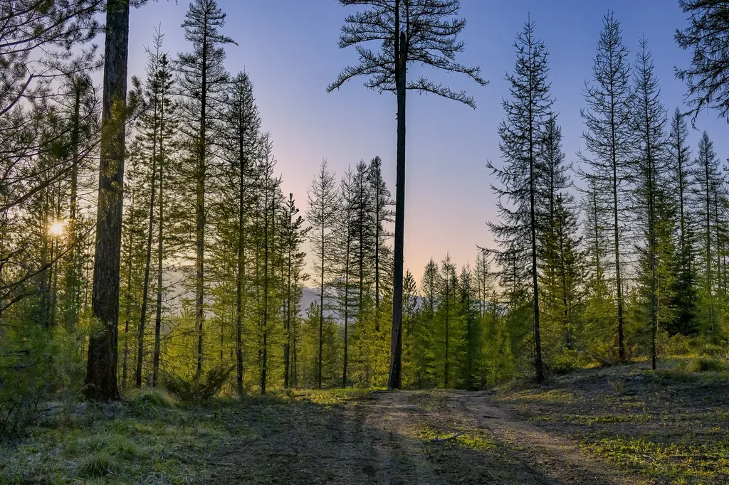 Nhn Stoner Lake Road Condon MT 59826