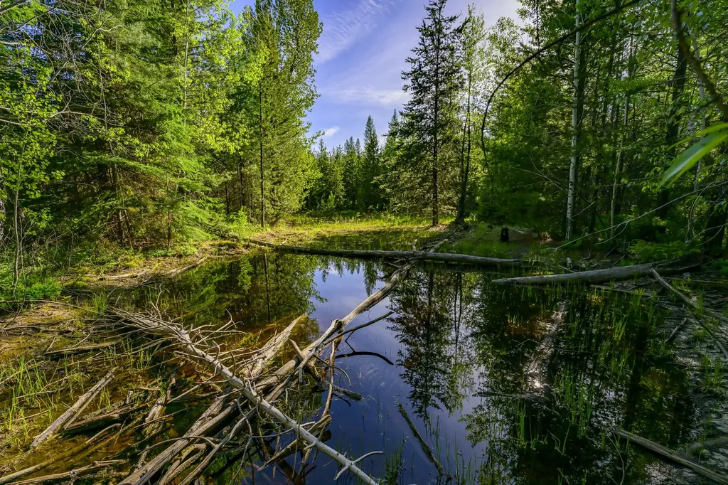 Nhn Stoner Lake Road Condon MT 59826