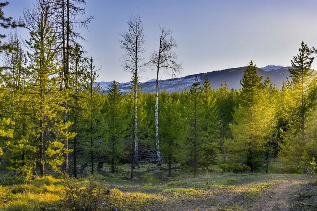 Nhn Stoner Lake Road Condon MT 59826