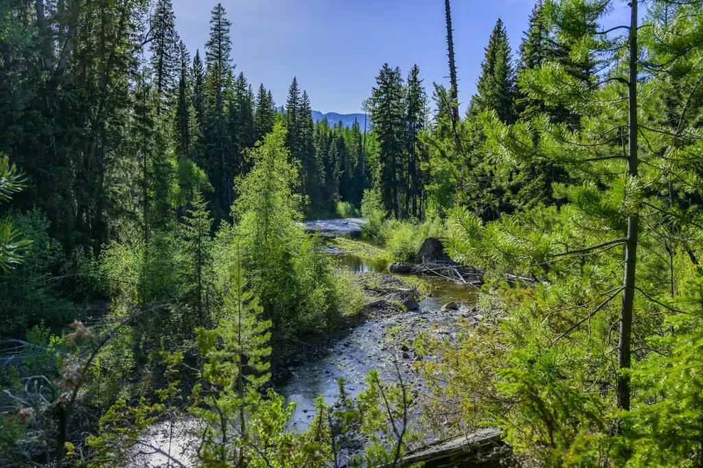 Nhn Stoner Lake Road Condon MT 59826