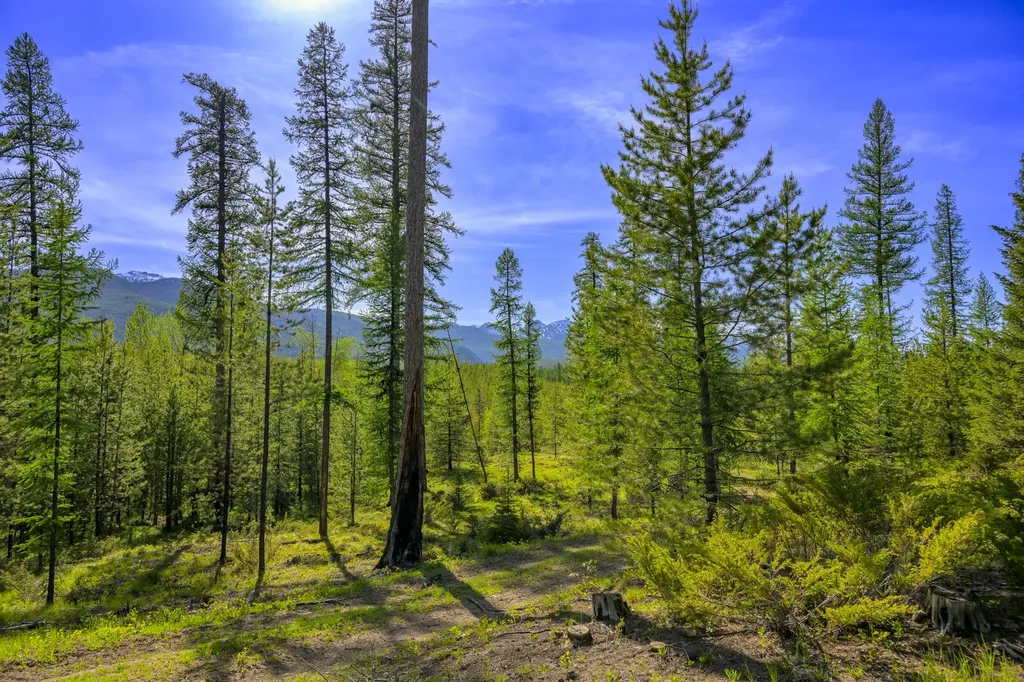 Nhn Stoner Lake Road Condon MT 59826