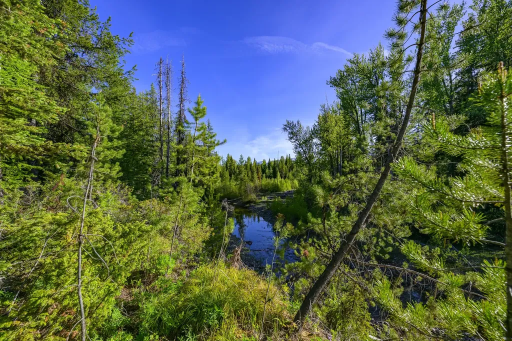 Nhn Stoner Lake Road Condon MT 59826