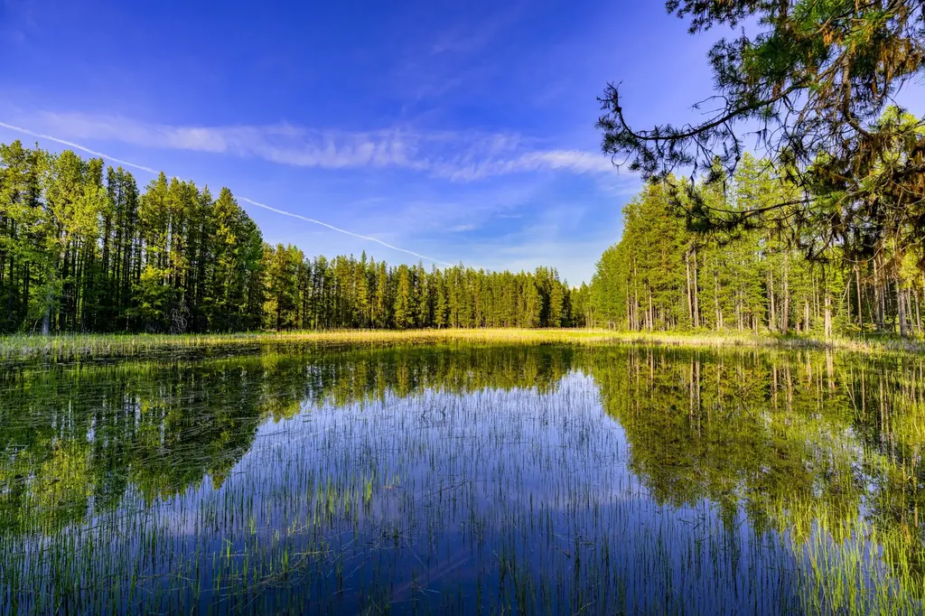 Nhn Stoner Lake Road Condon MT 59826
