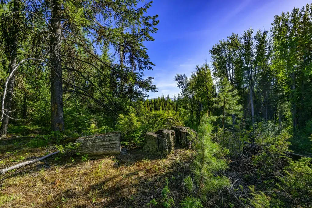 Nhn Stoner Lake Road Condon MT 59826