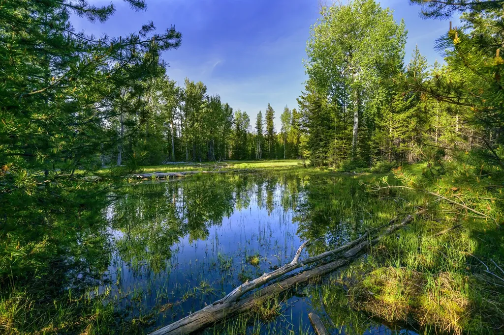 Nhn Stoner Lake Road Condon MT 59826