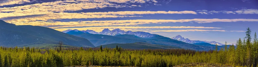 Nhn Stoner Lake Road Condon MT 59826