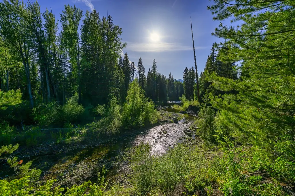 Nhn Stoner Lake Road Condon MT 59826