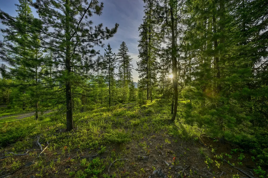 Nhn Stoner Lake Road Condon MT 59826